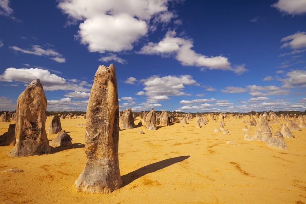 Picture of the Pinnacles Desert