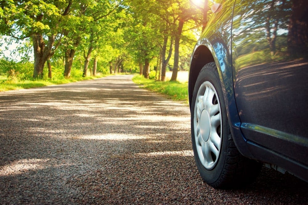 Car on asphalt road on summer day at park